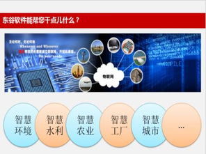 北京东谷物联网远程测控系统 自动化软件研发的核心价值与实践