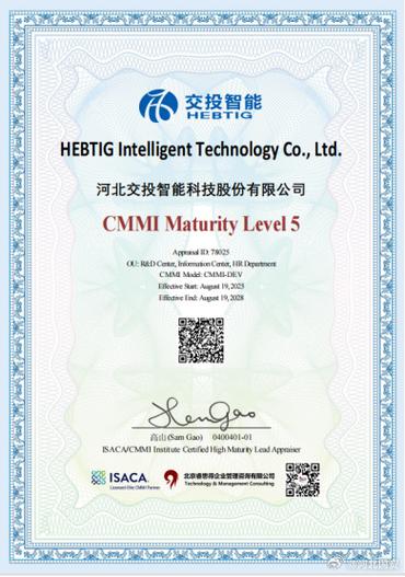 成功跻身国际软件研发管理领域的战略路径与实践启示